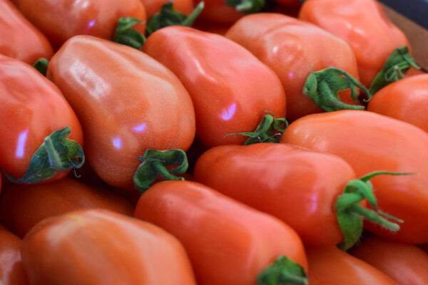 San Marzano – Image 2