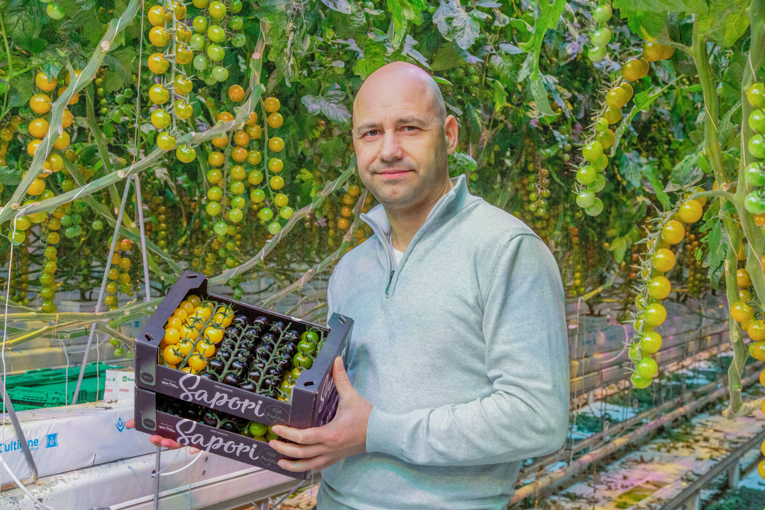 Maurice Sapori Wim Peters Kwekerijen Tomaten