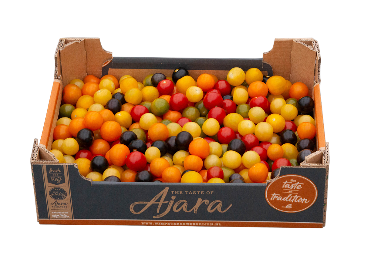 6 Farben lose Mischung wim peters Baumschulen Tomaten