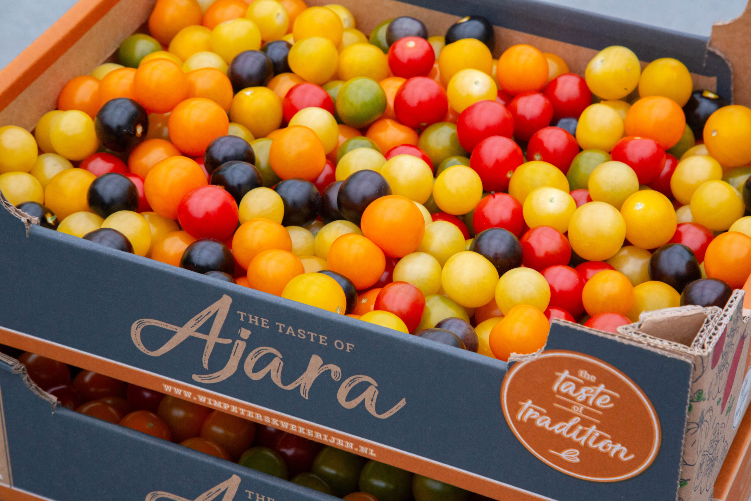 losse kleurenmix tomaten wim peters kwekerijen